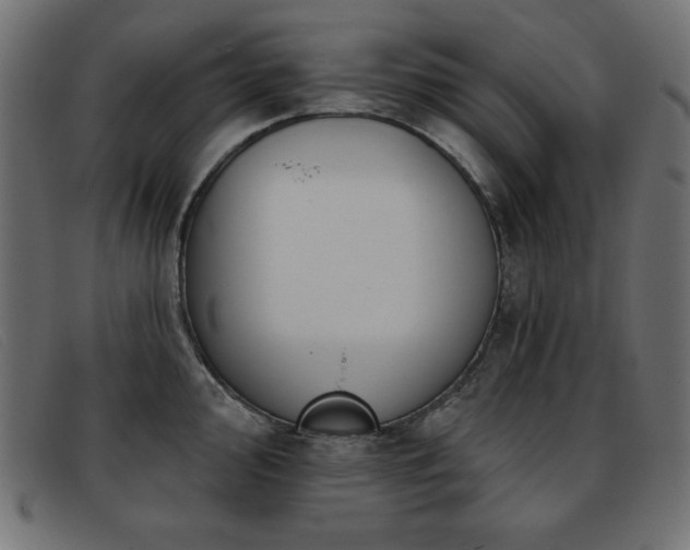 X0000093361000200710111451