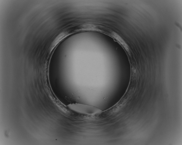 X0000093361002200710111451