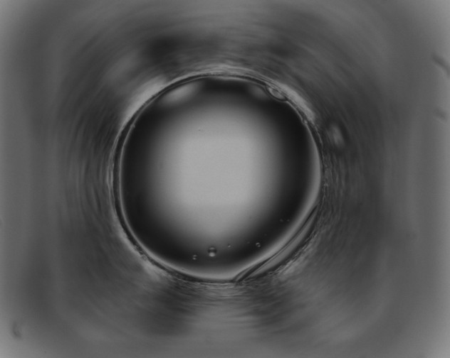 X0000093361007200710111451