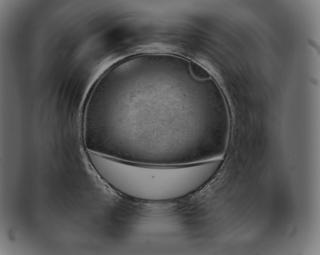 X0000093361008200710111451