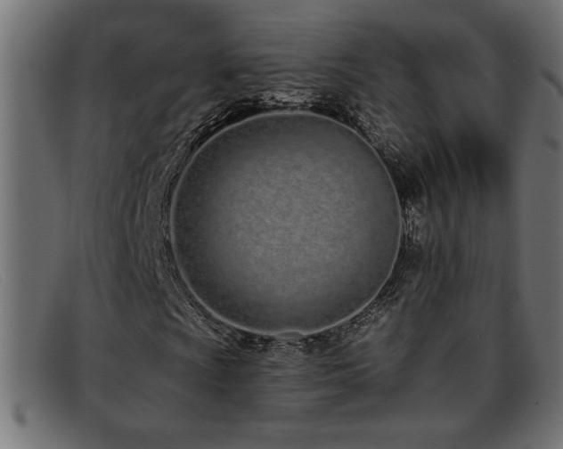 X0000093361009200710111450