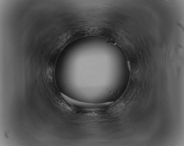 X0000093361010200710111450