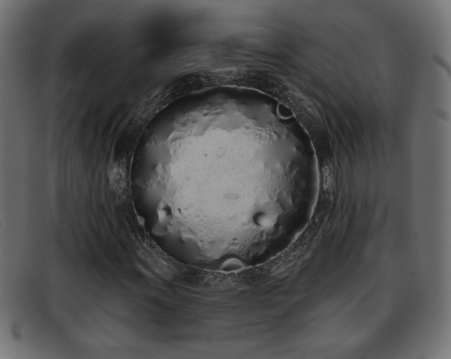 X0000093361011200710111450