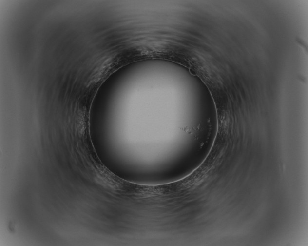 X0000093361012200710111450