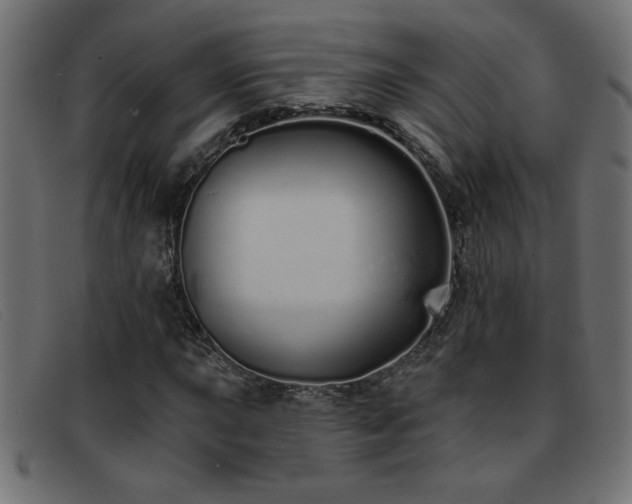 X0000093361015200710111451