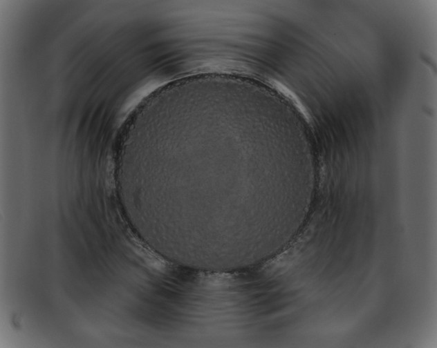 X0000093361019200710111451