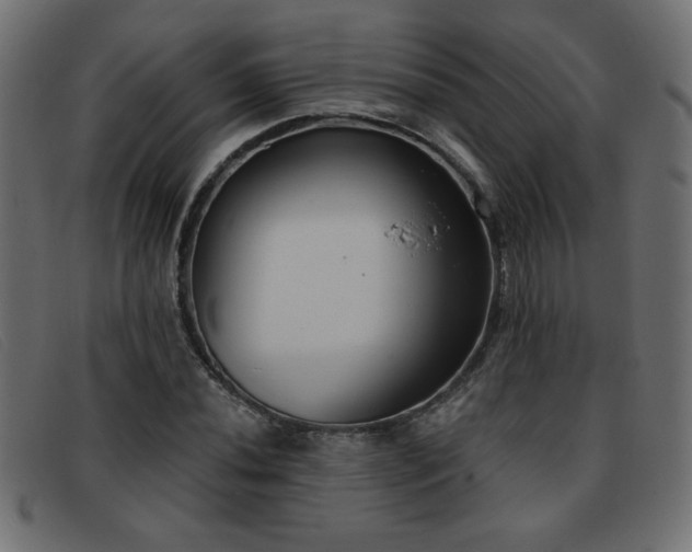 X0000093361020200710111451