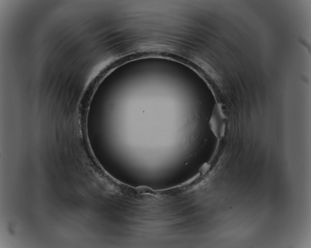 X0000093361022200710111451