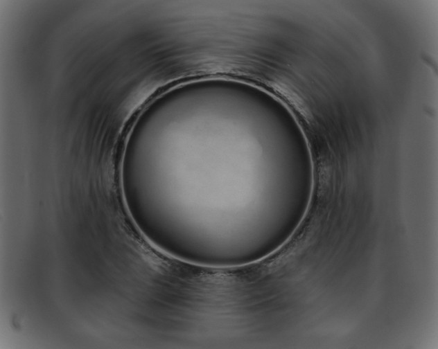 X0000093361023200710111451