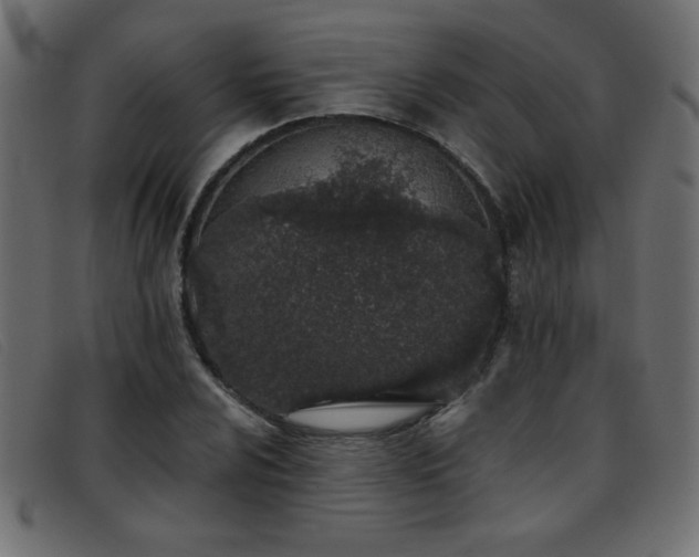 X0000093361024200710111451