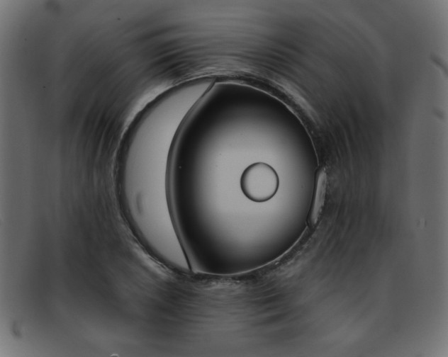 X0000093361026200710111451