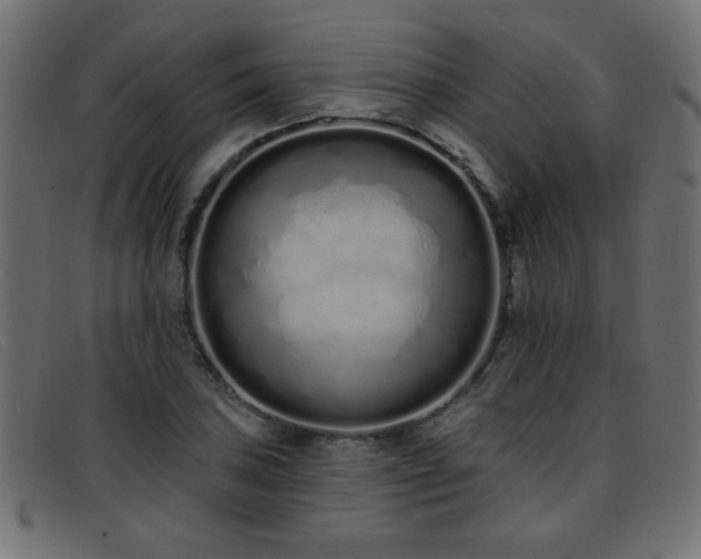 X0000093361027200710111451