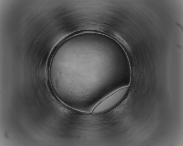 X0000093361028200710111451