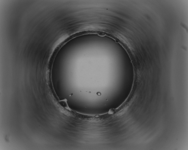 X0000093361029200710111451