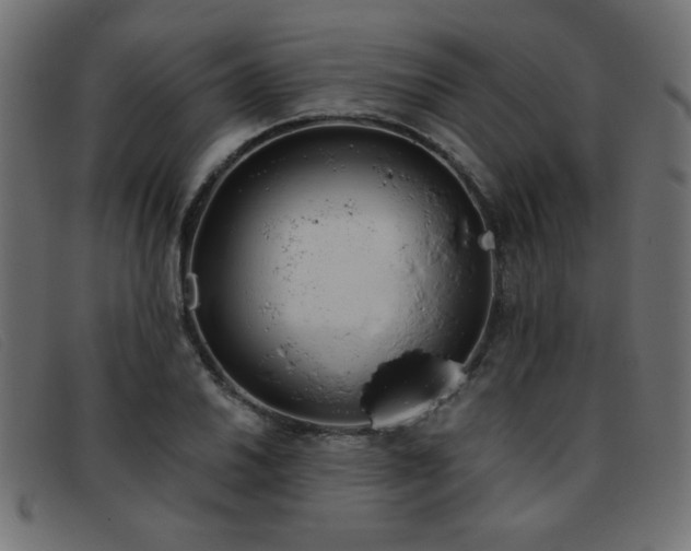 X0000093361030200710111451