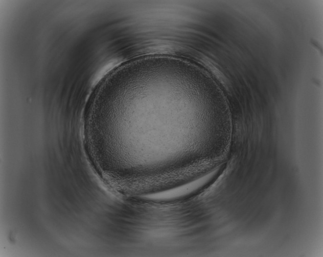 X0000093361034200710111451