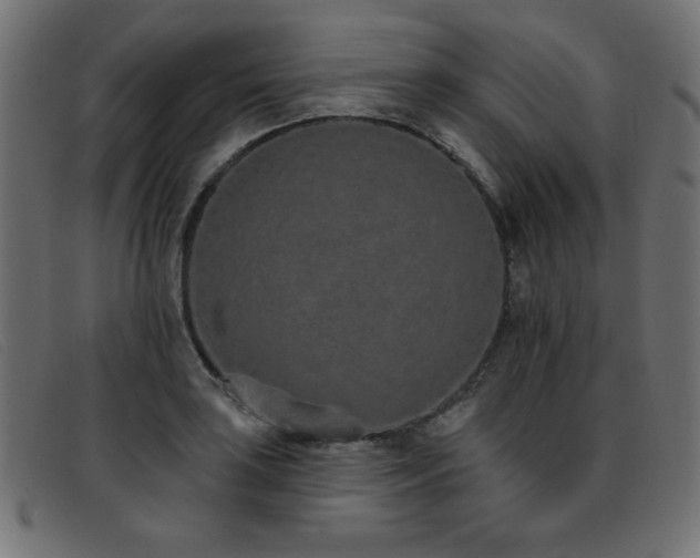 X0000093361035200710111451