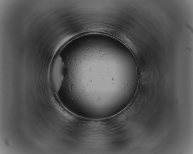 X0000093361036200710111451