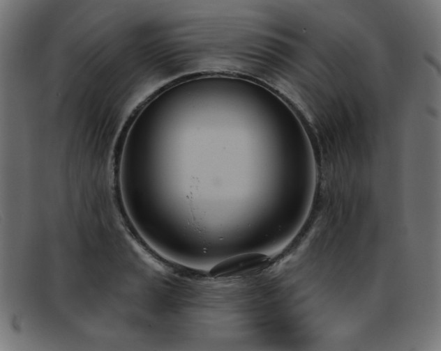 X0000093361037200710111451