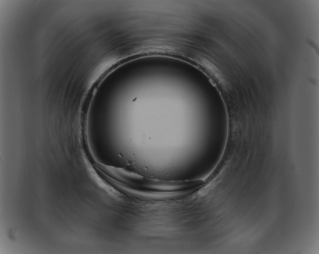 X0000093361038200710111451