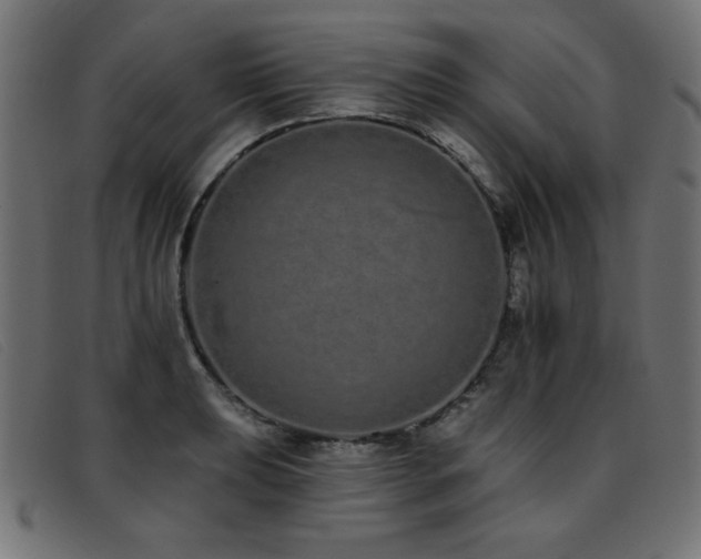X0000093361039200710111451