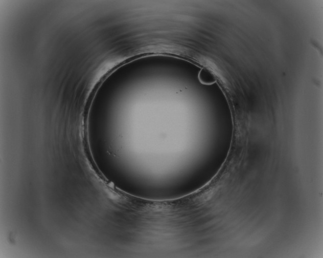 X0000093361040200710111451