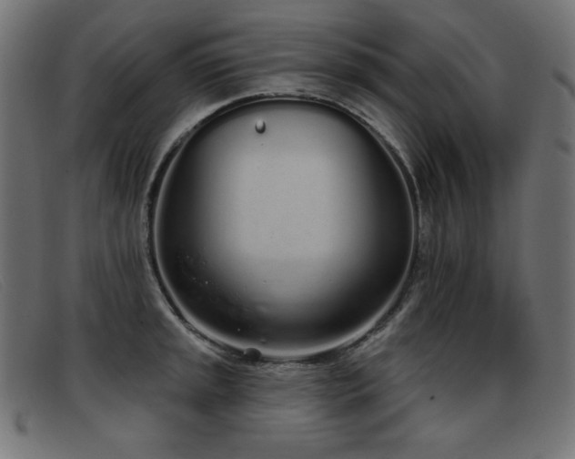 X0000093361045200710111451
