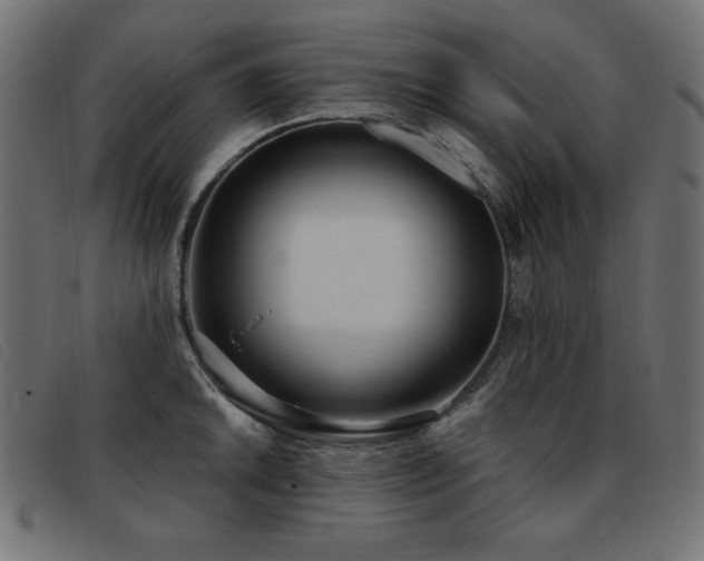 X0000093361046200710111451