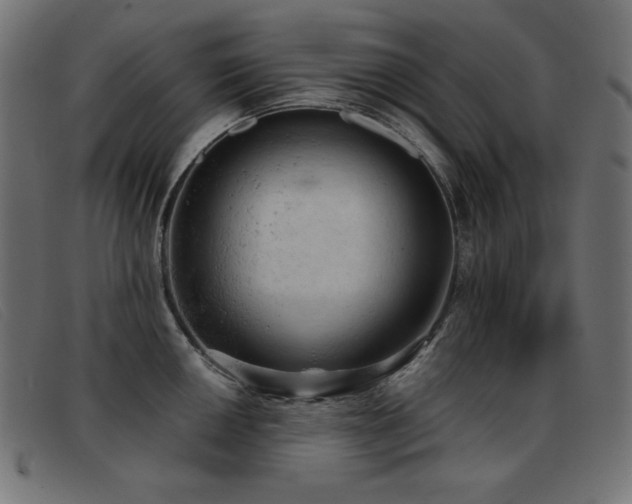 X0000093361050200710111451