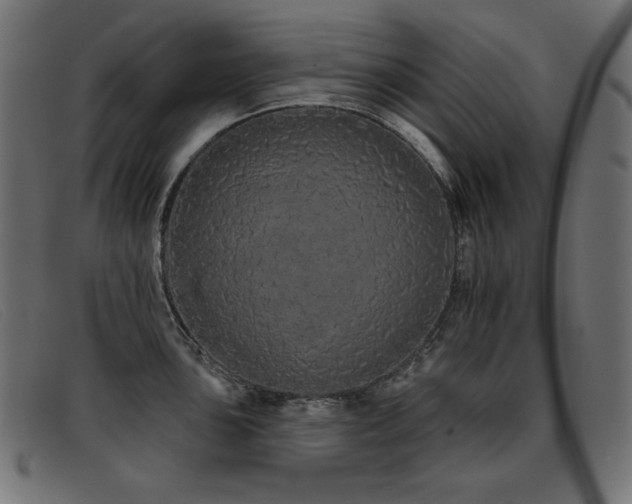 X0000093361051200710111451
