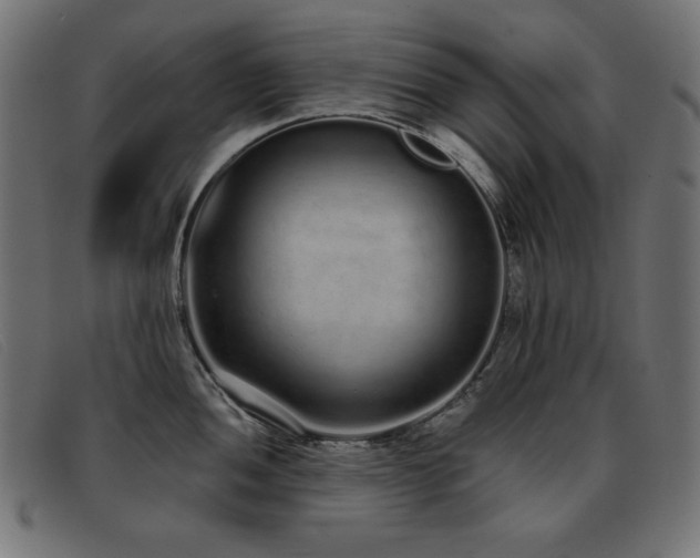 X0000093361052200710111451
