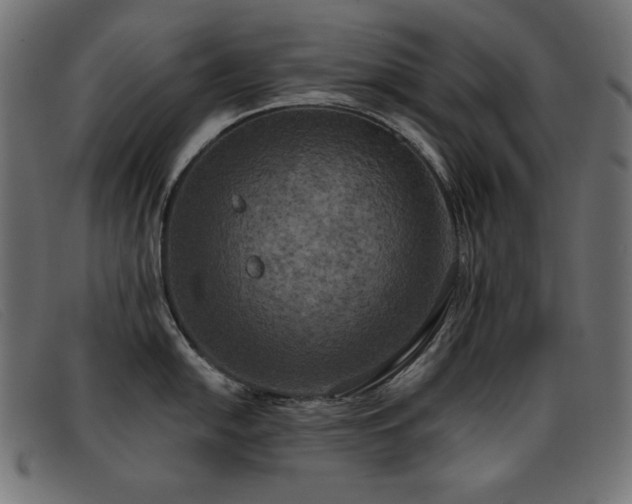 X0000093361054200710111451