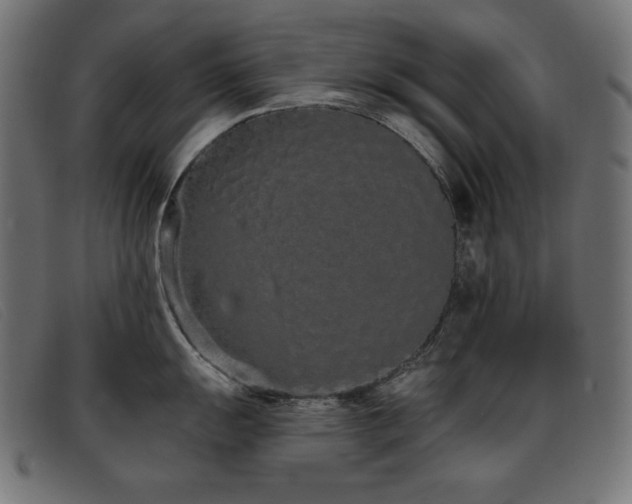 X0000093361055200710111451