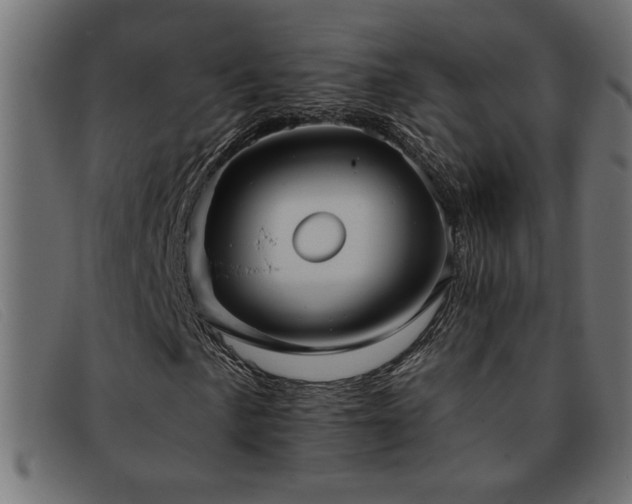 X0000093361057200710111450