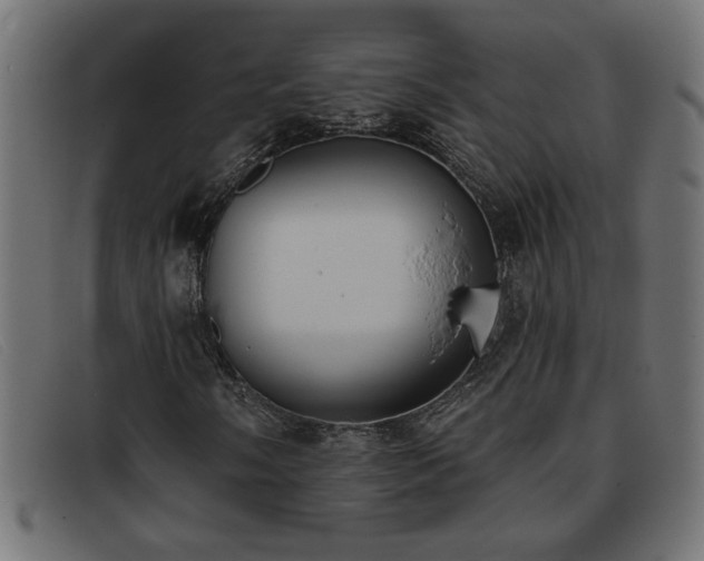 X0000093361058200710111450