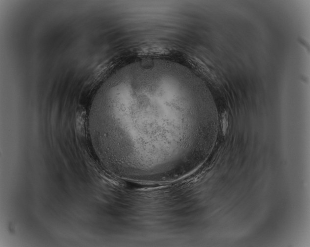 X0000093361059200710111450