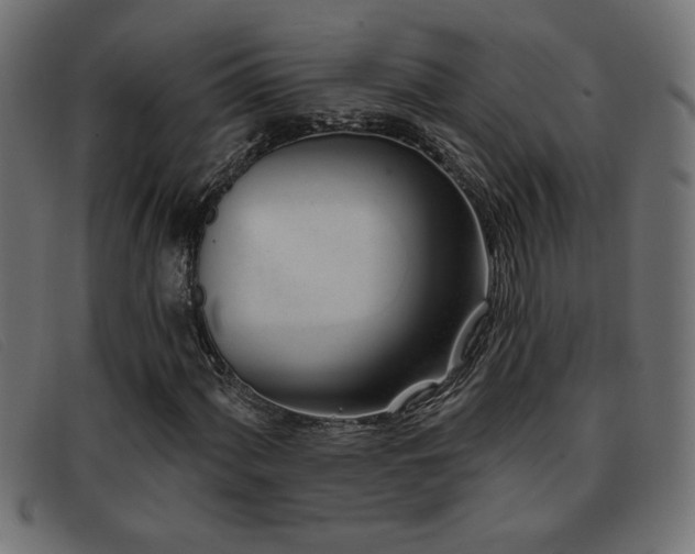 X0000093361060200710111450