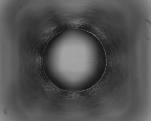 X0000093361061200710111450