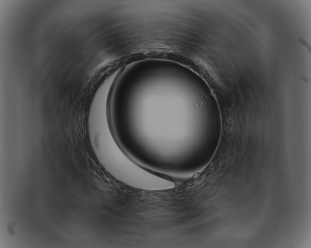 X0000093361063200710111450