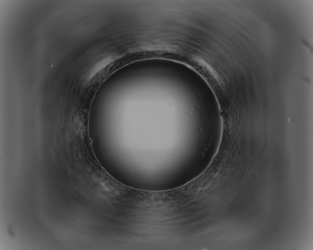 X0000093361064200710111450