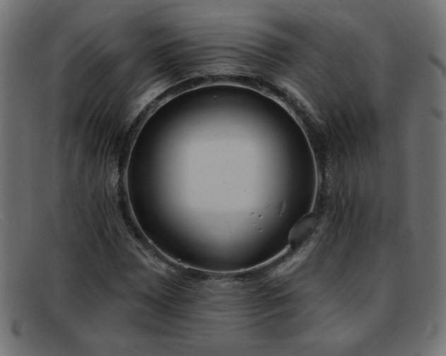X0000093361065200710111450