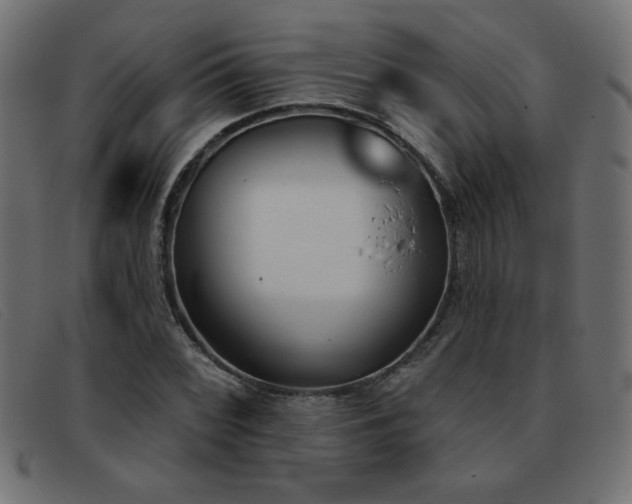 X0000093361068200710111450