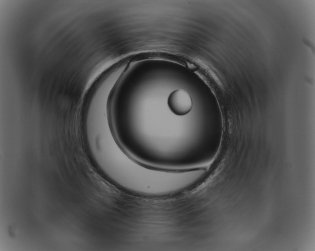 X0000093361069200710111450