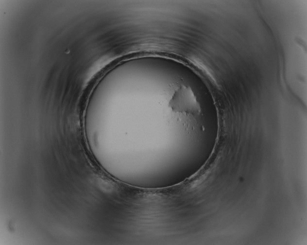 X0000093361070200710111450