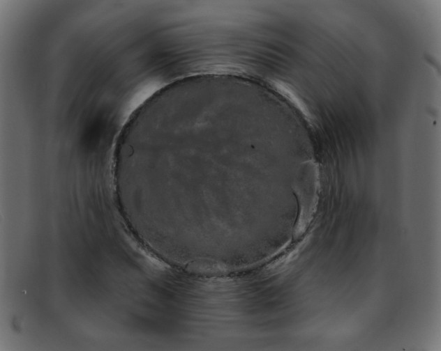 X0000093361071200710111450
