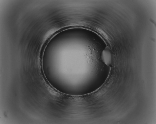 X0000093361072200710111450