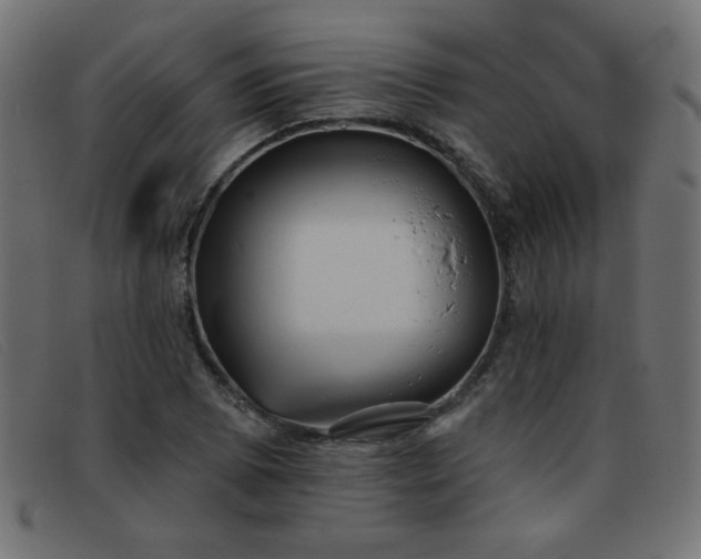 X0000093361073200710111450