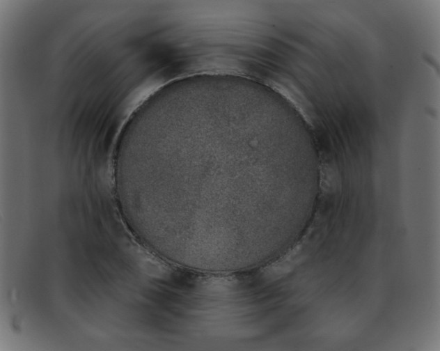 X0000093361074200710111450