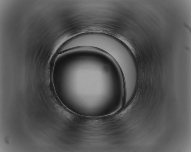 X0000093361075200710111450