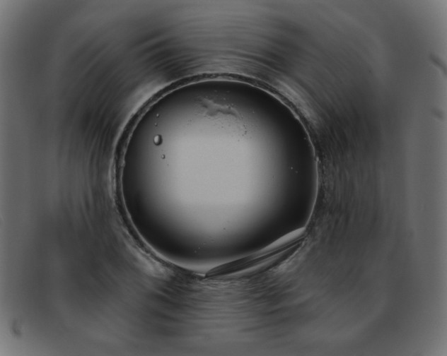 X0000093361076200710111450